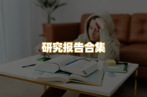 研究报告合集