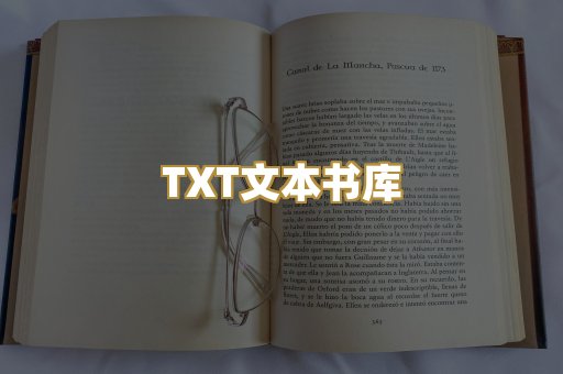 TXT文本书库